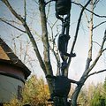 portland_zoo_3.jpg