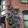 seattle_pipes_1.jpg