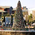 xmas_tree.jpg