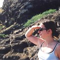 julia_view_1.jpg