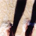 beach_feet_1.jpg
