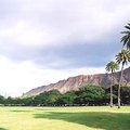 trees_crater_1.jpg