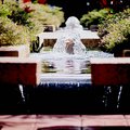 fountains_1.jpg