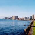 view_from_upshore.jpg