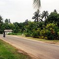road_2.jpg