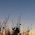 P1030765.jpg