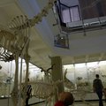 P1030871.jpg