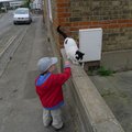 P1040110.jpg