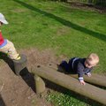 P1040441.jpg