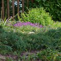 P1050057.jpg