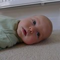 P1050069.jpg