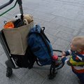 P1050140.jpg
