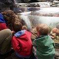 P7220369.jpg