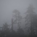 P7250847.jpg