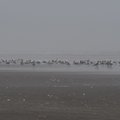 P7260952.jpg
