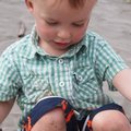 vid_nicholas_fish_eggs.avi