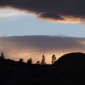 P8010700.jpg