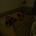 P8010725.jpg