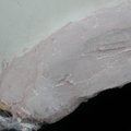 DSCN5670.JPG