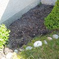 3_flowerbed_before.jpg