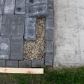 DSCN9797.JPG