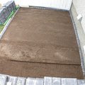 DSCN9809.JPG