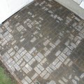 DSCN9825.JPG
